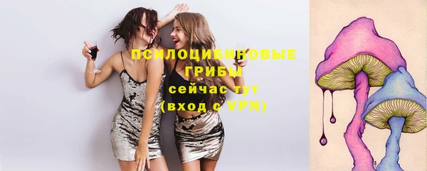 трава Богданович