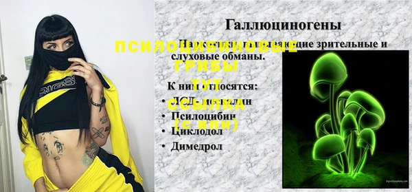 мдпв Богородск