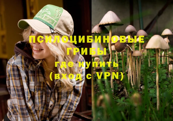 мдпв Богородск