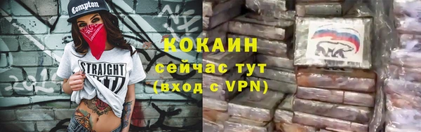 мдпв Богородск